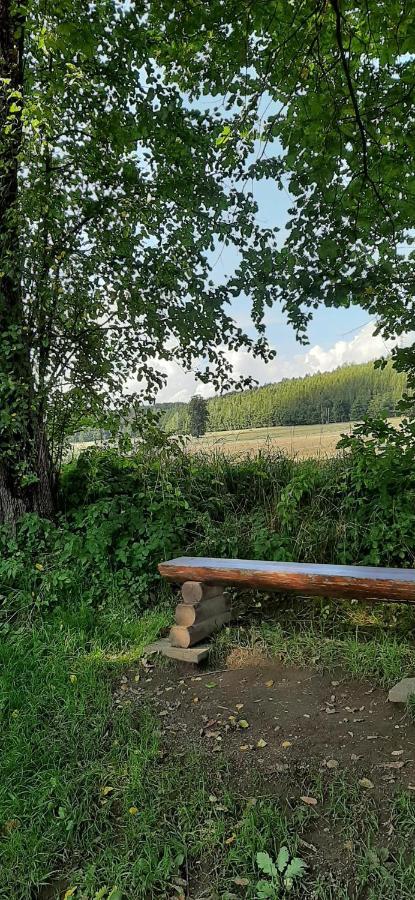 Ferienwohnung Im Gruenen Muldental Langenbach  Eksteriør bilde